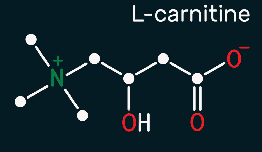 L-Carnitine Molecule